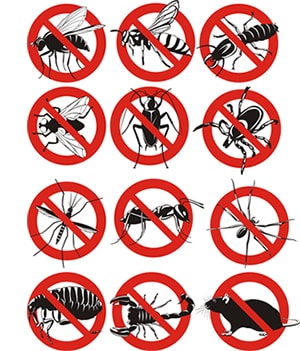 obtener un precio de una empresa de exterminio que puede combatir las abejas de su propiedad residente o comercial en West Virginia y ayudarle a prevenir futuras infestaciones